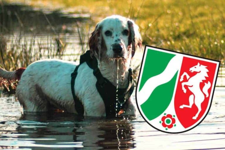Baden mit Hund in NordrheinWestfalen Liste mit Badeplätzen
