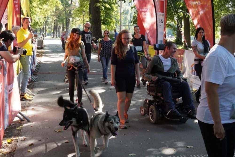 Huskys, Rollstuhlfahrer und andere Leute nehmen am Inklusionslauf teil. 