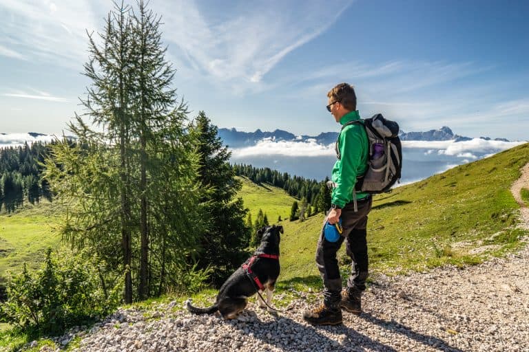 Wandern mit dem Hund. Mann mit Hund am Berg.