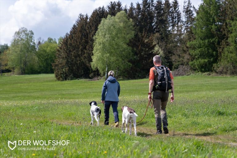 Urlaub mit Hund im Wolfshof - Wandern mit Hund im Harz.